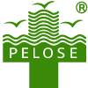 Pelose Heilschlamm
